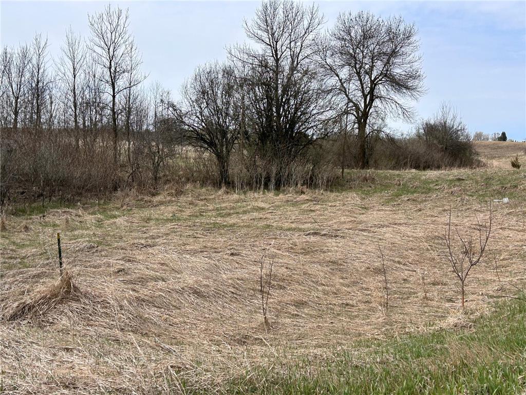 Lot 20 215th Street Barrett MN 56311 7064902 image4