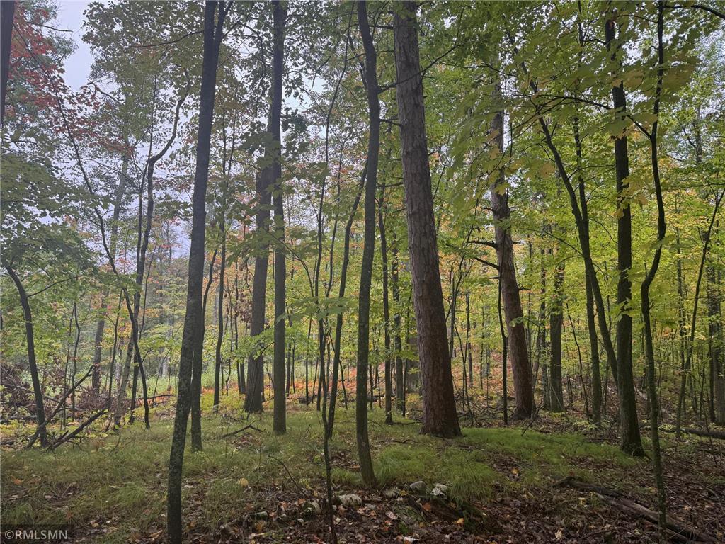 TBD 217th Avenue Shamrock Twp MN 55760 6792021 image10