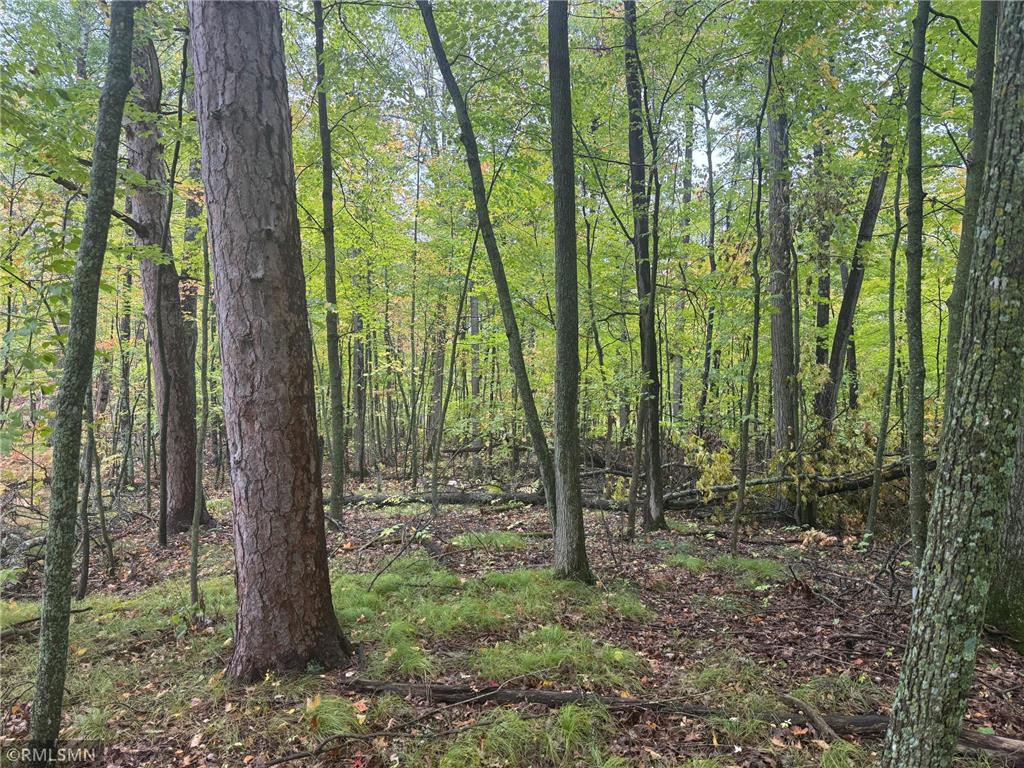 TBD 217th Avenue Shamrock Twp MN 55760 6792021 image11