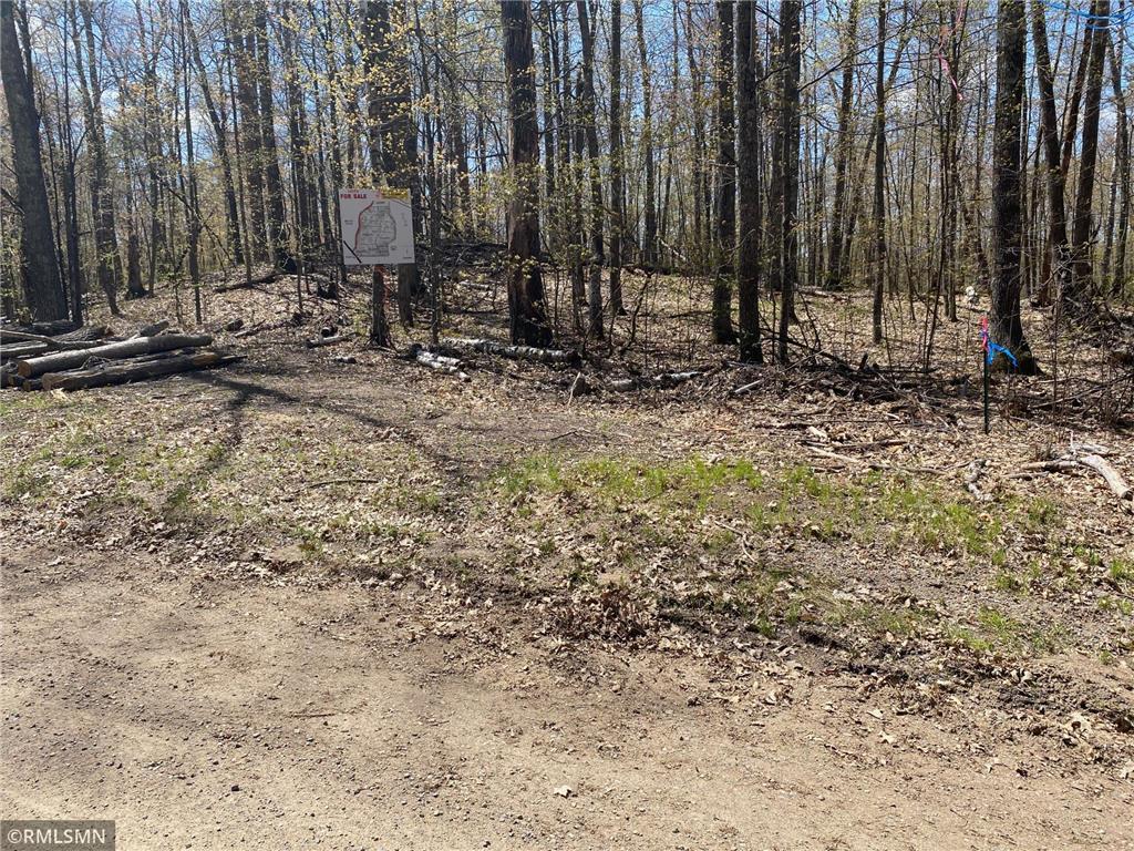 TBD 217th Avenue Shamrock Twp MN 55760 6792021 image5