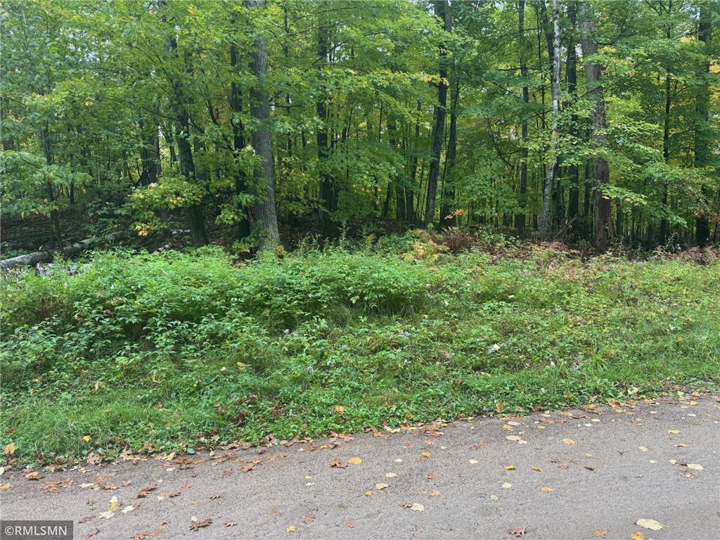 TBD 217th Avenue Shamrock Twp MN 55760 6792021 image7