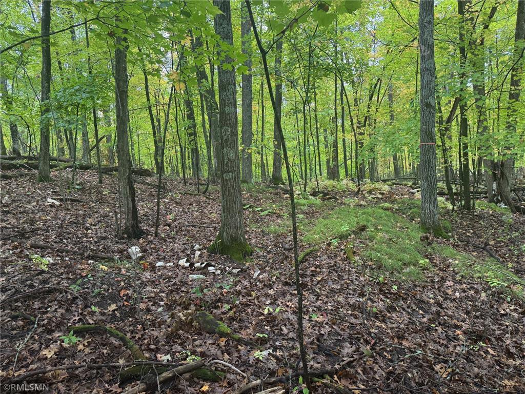 TBD 217th Avenue Shamrock Twp MN 55760 6792021 image8