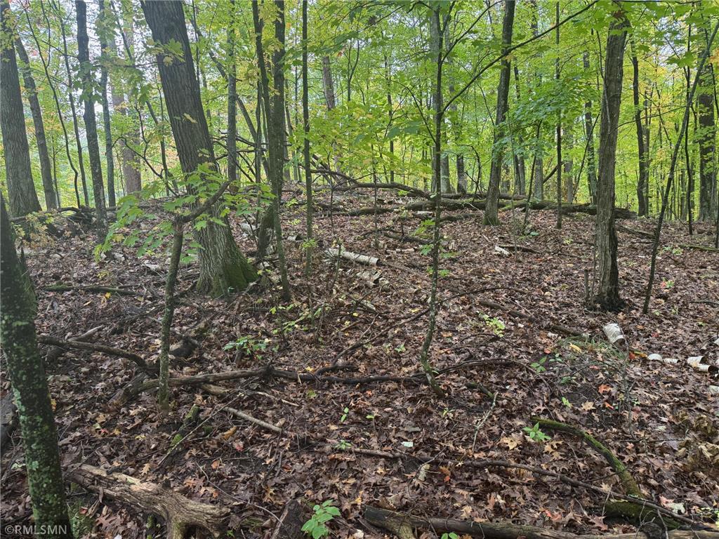 TBD 217th Avenue Shamrock Twp MN 55760 6792021 image9