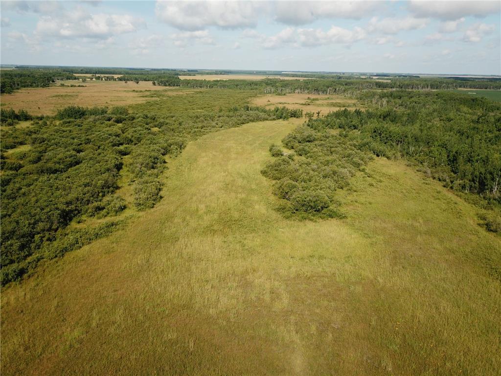 TBD 220th Avenue Stokes Twp MN 56714 6773905 image11