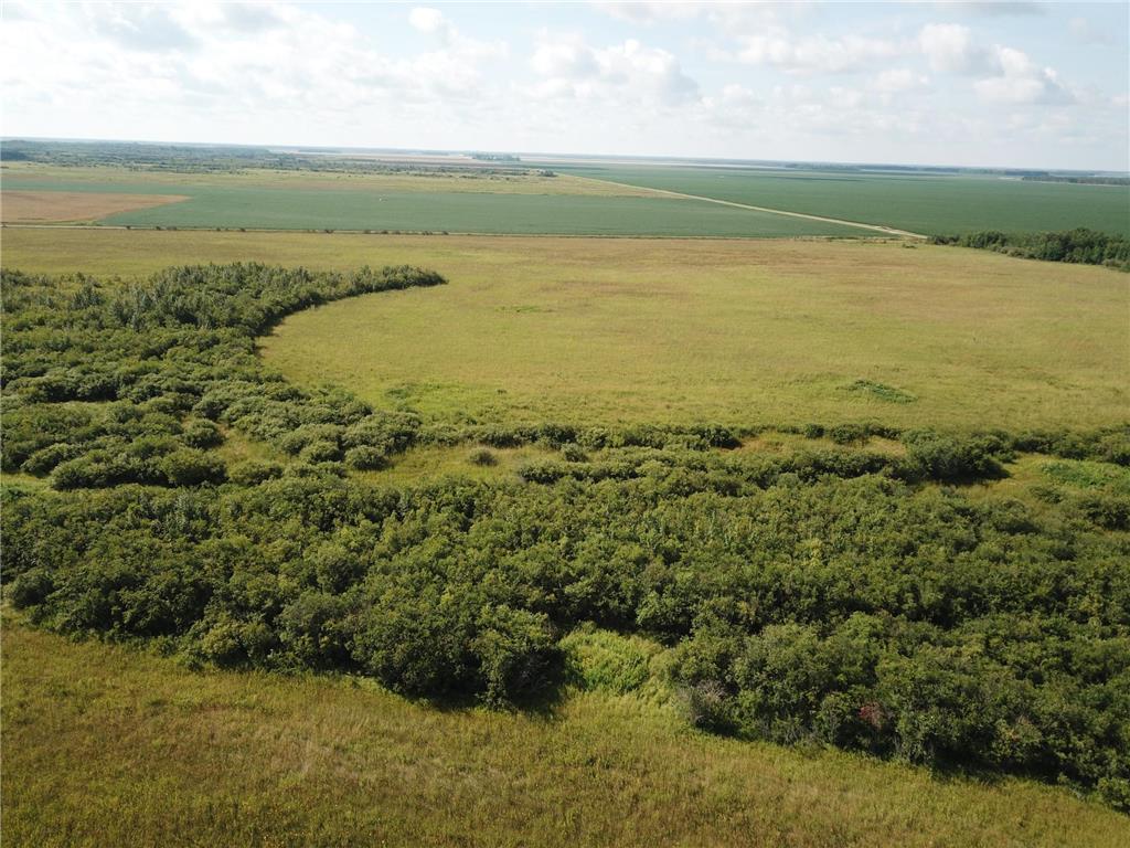 TBD 220th Avenue Stokes Twp MN 56714 6773905 image12