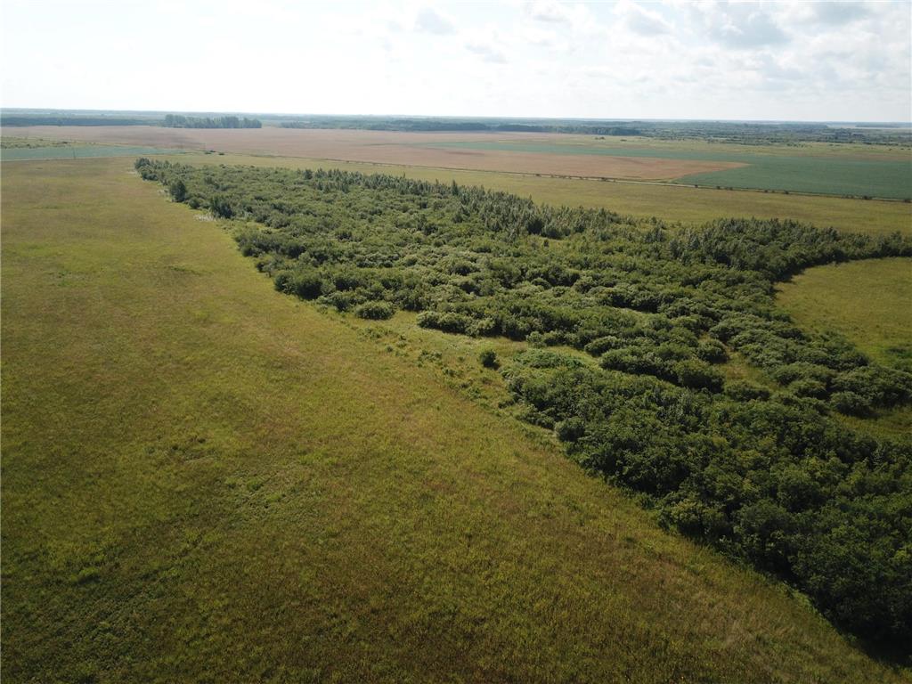 TBD 220th Avenue Stokes Twp MN 56714 6773905 image13