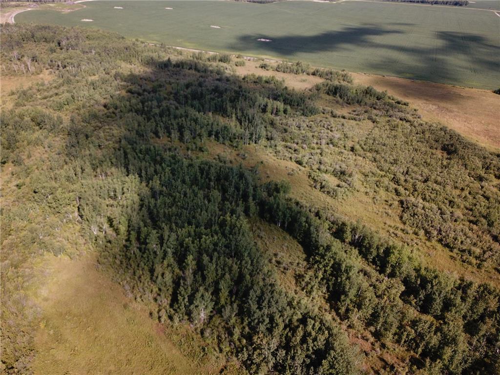 TBD 220th Avenue Stokes Twp MN 56714 6773905 image19