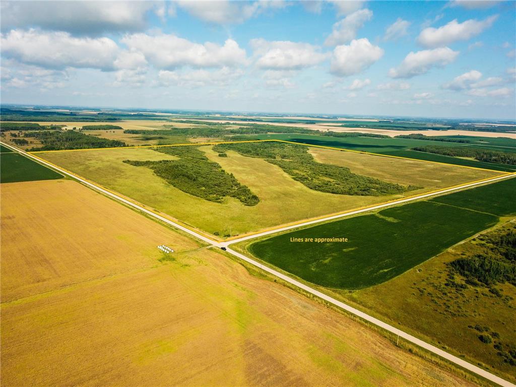 TBD 220th Avenue Stokes Twp MN 56714 6773905 image2