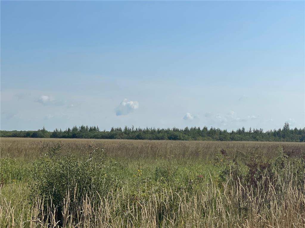 TBD 220th Avenue Stokes Twp MN 56714 6773905 image33