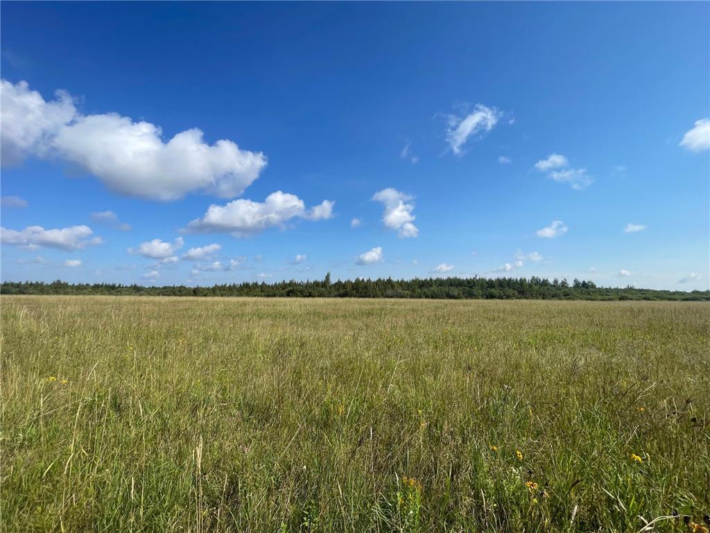 TBD 220th Avenue Stokes Twp MN 56714 6773905 image35