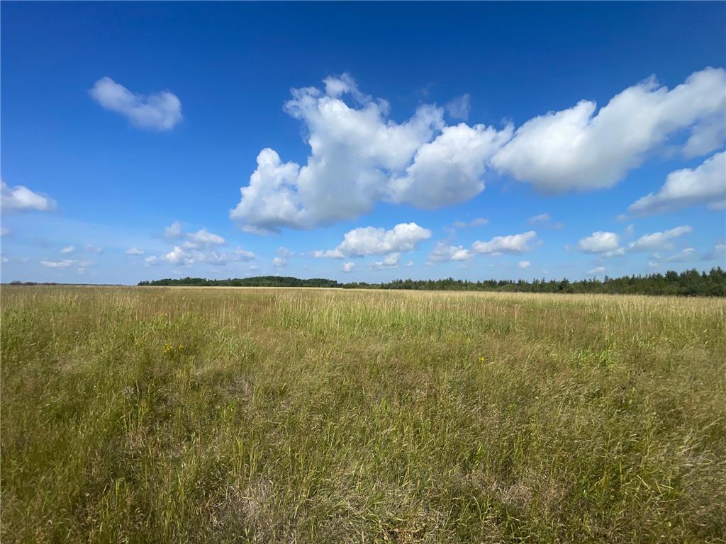 TBD 220th Avenue Stokes Twp MN 56714 6773905 image37