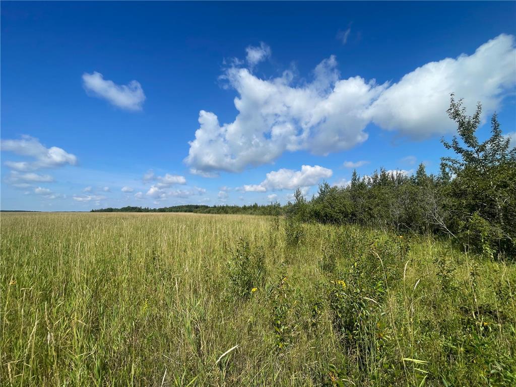 TBD 220th Avenue Stokes Twp MN 56714 6773905 image38