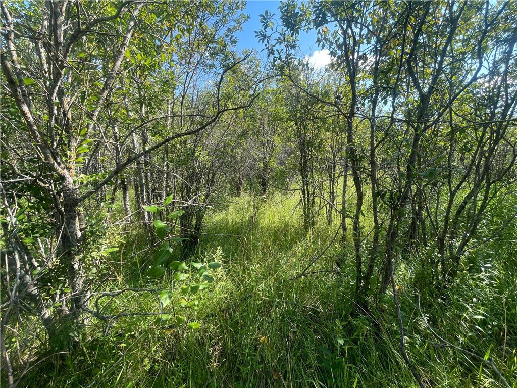 TBD 220th Avenue Stokes Twp MN 56714 6773905 image39