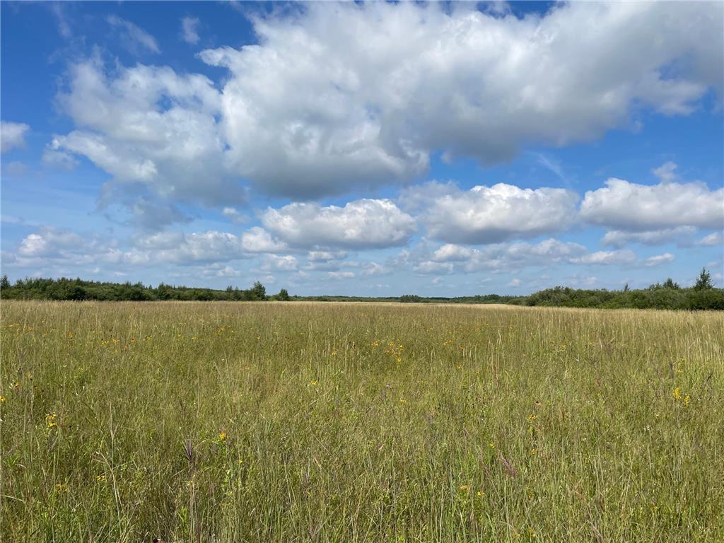 TBD 220th Avenue Stokes Twp MN 56714 6773905 image42