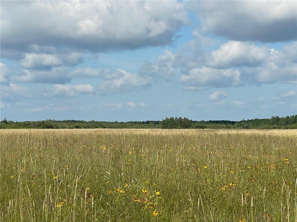 TBD 220th Avenue Stokes Twp MN 56714 6773905 image43