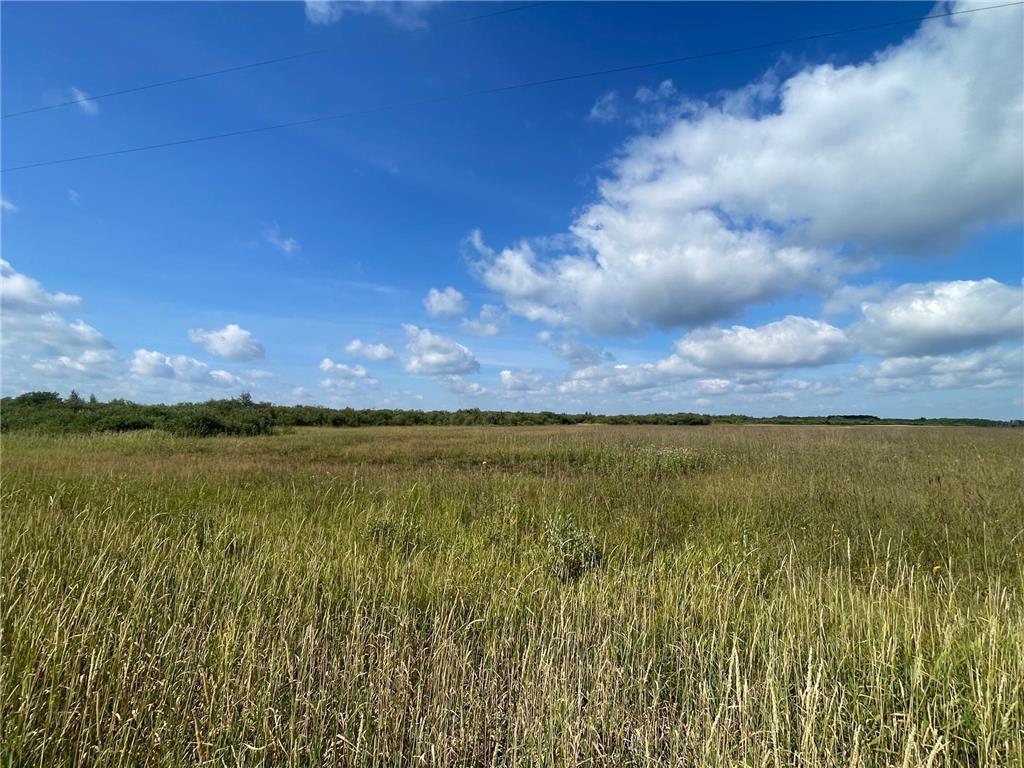 TBD 220th Avenue Stokes Twp MN 56714 6773905 image46