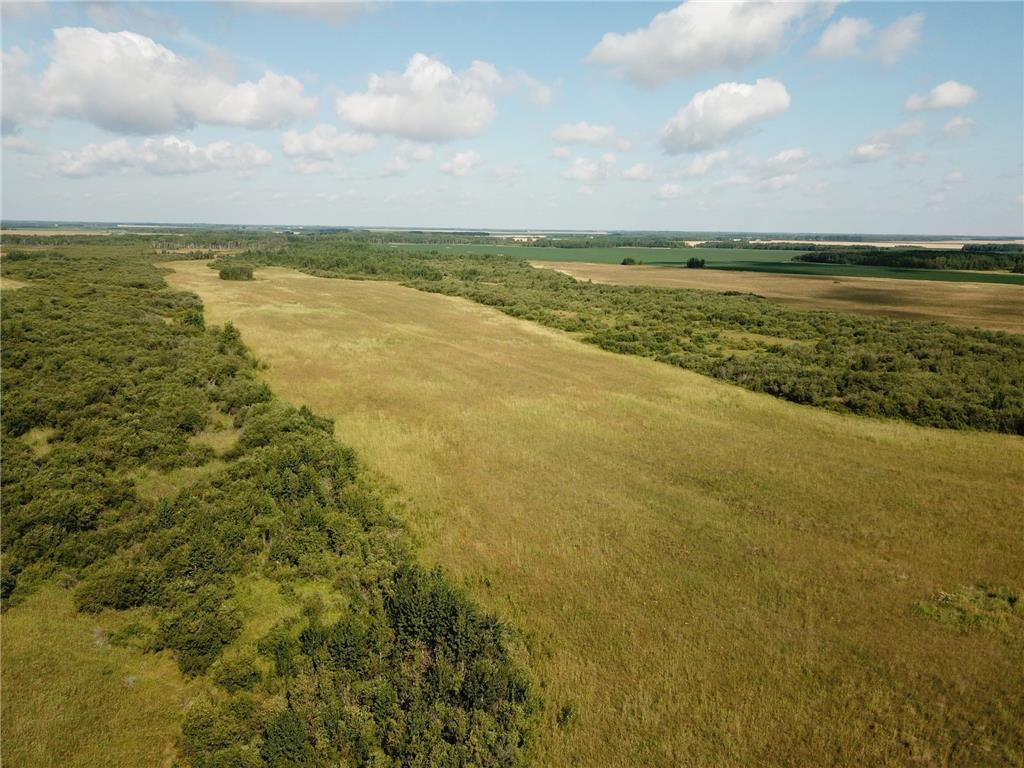 TBD 220th Avenue Stokes Twp MN 56714 6773905 image6