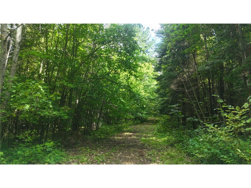 TBD 220th Street Bagley MN 56621 6790058 image26