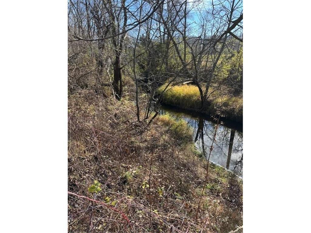 TBD 220th Street Windom Twp MN 55912 7013055 image3