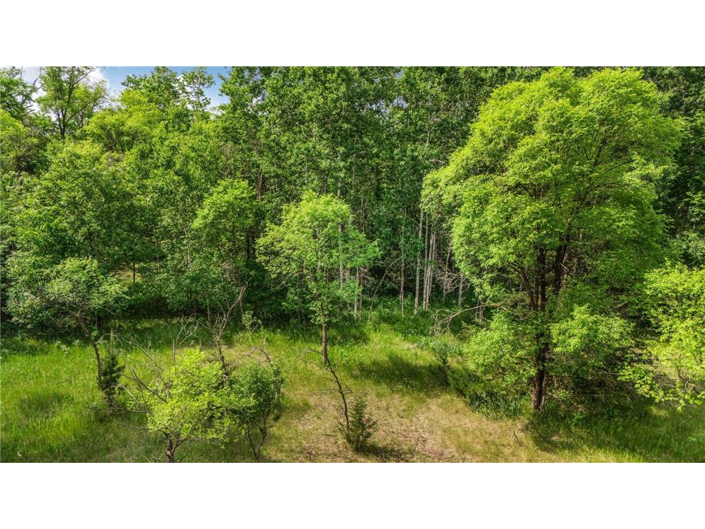 TBD 223rd Street Cold Spring MN 56320 - Sauk River 7081745 image18