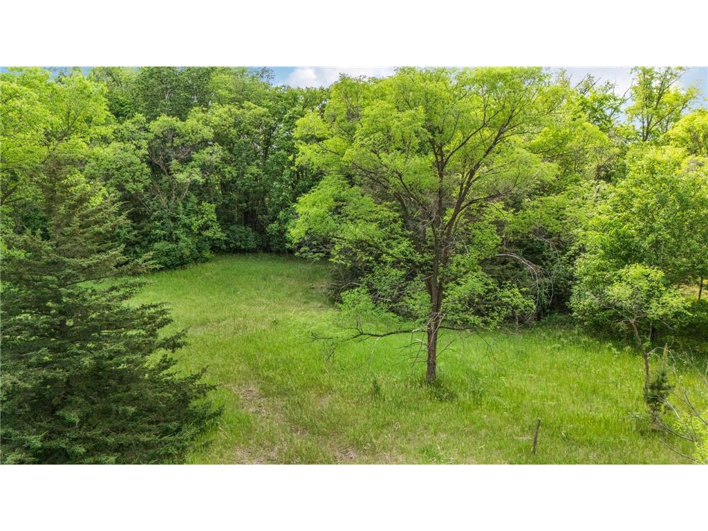 TBD 223rd Street Cold Spring MN 56320 - Sauk River 7081745 image19