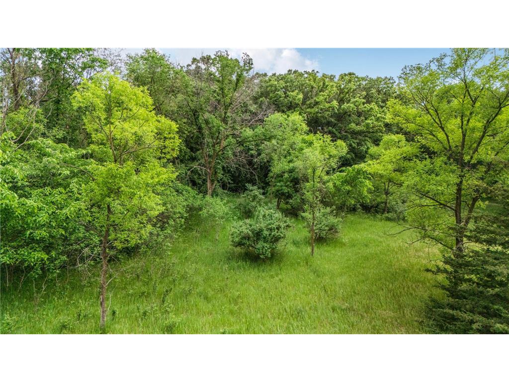 TBD 223rd Street Cold Spring MN 56320 - Sauk River 7081745 image20