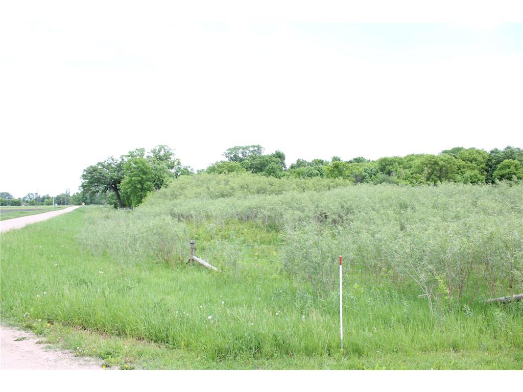 TBD 225th Silver Lake MN 55381 7034520 image44