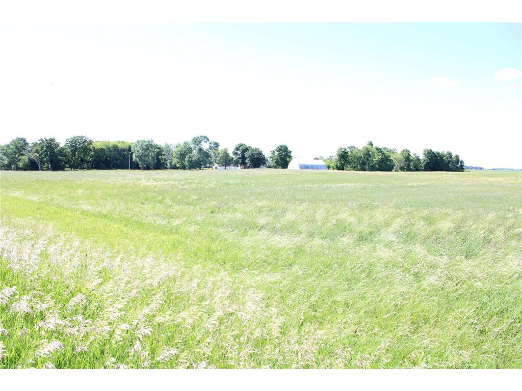TBD 225th Street Hale Twp MN 55381 7094388 image2
