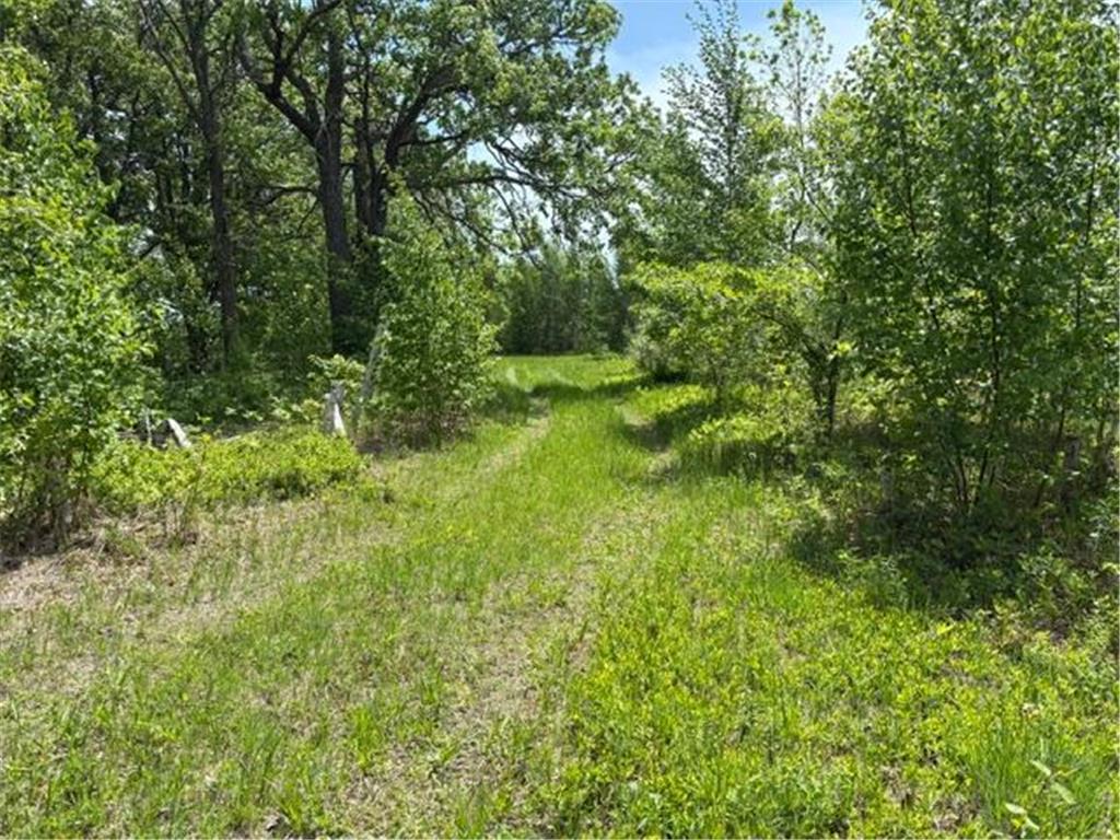 TBD 226th Workman Twp MN 56431 - Flowage 7083838 image10
