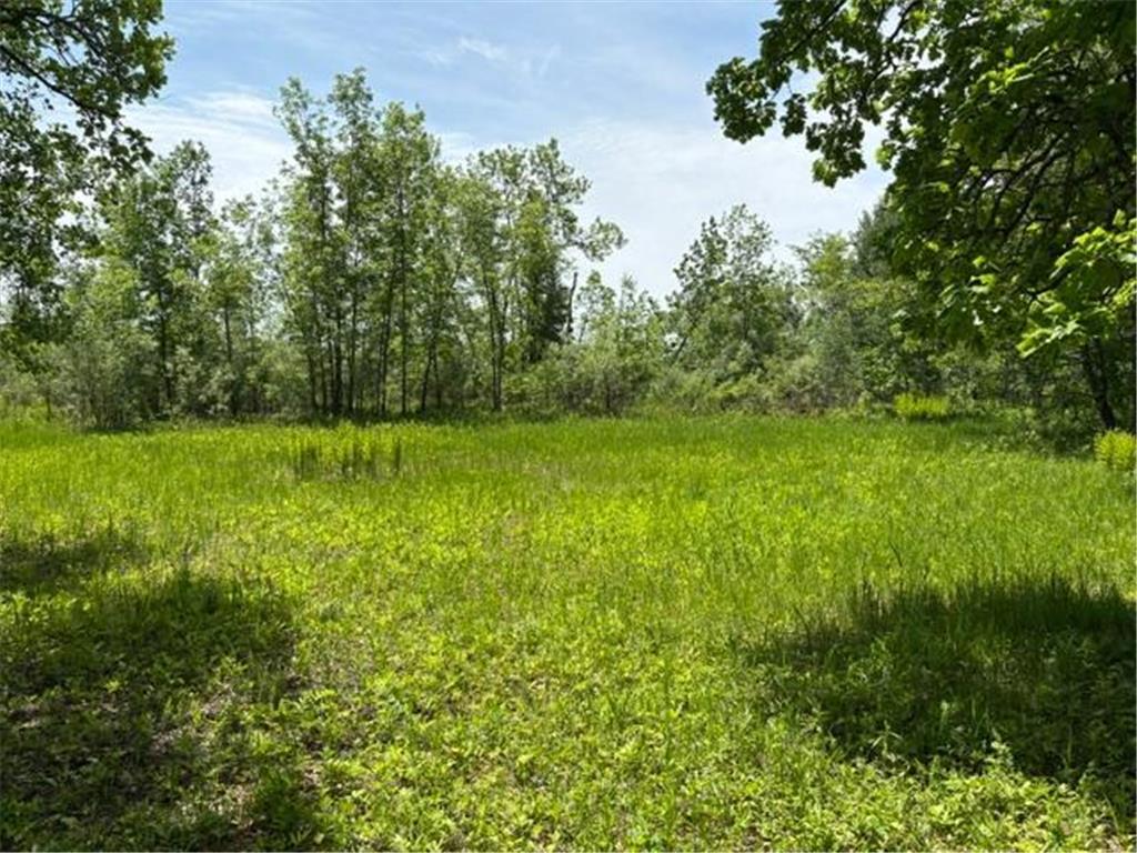TBD 226th Workman Twp MN 56431 - Flowage 7083838 image11