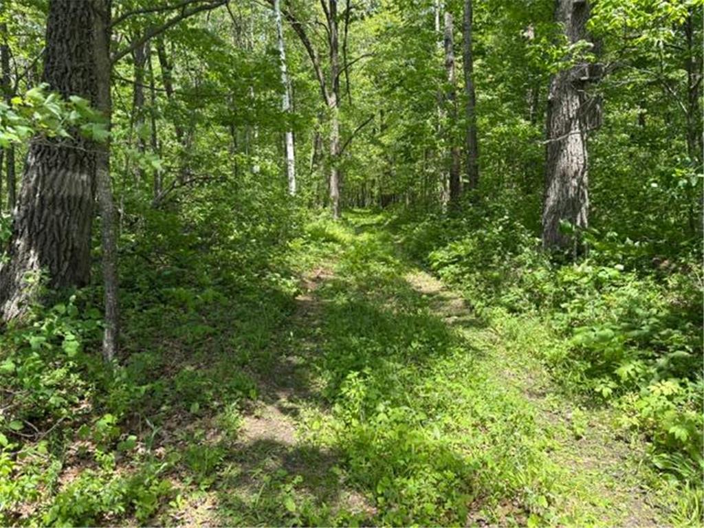 TBD 226th Workman Twp MN 56431 - Flowage 7083838 image13
