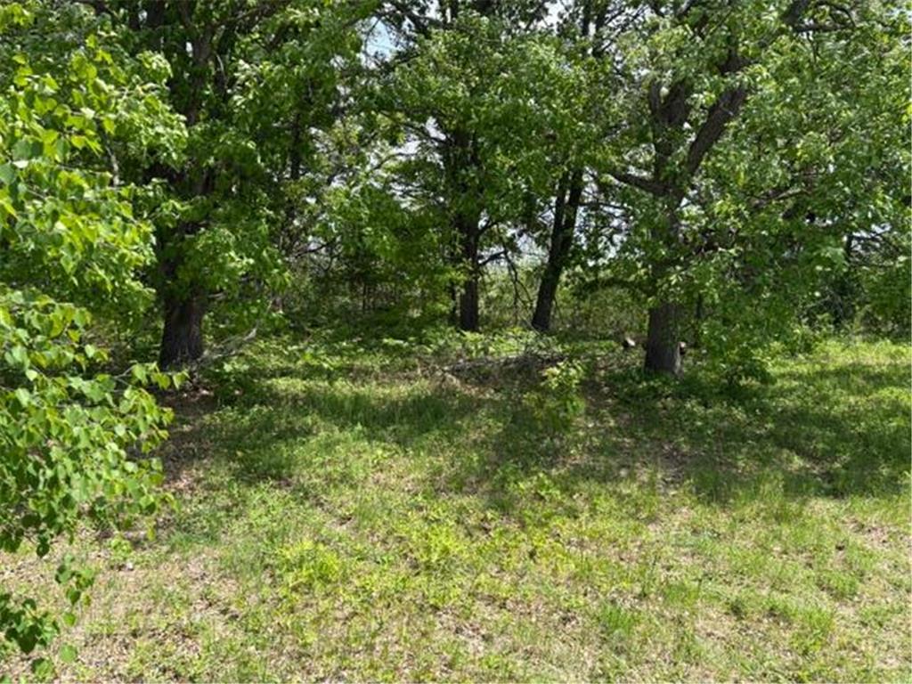 TBD 226th Workman Twp MN 56431 - Flowage 7083838 image22