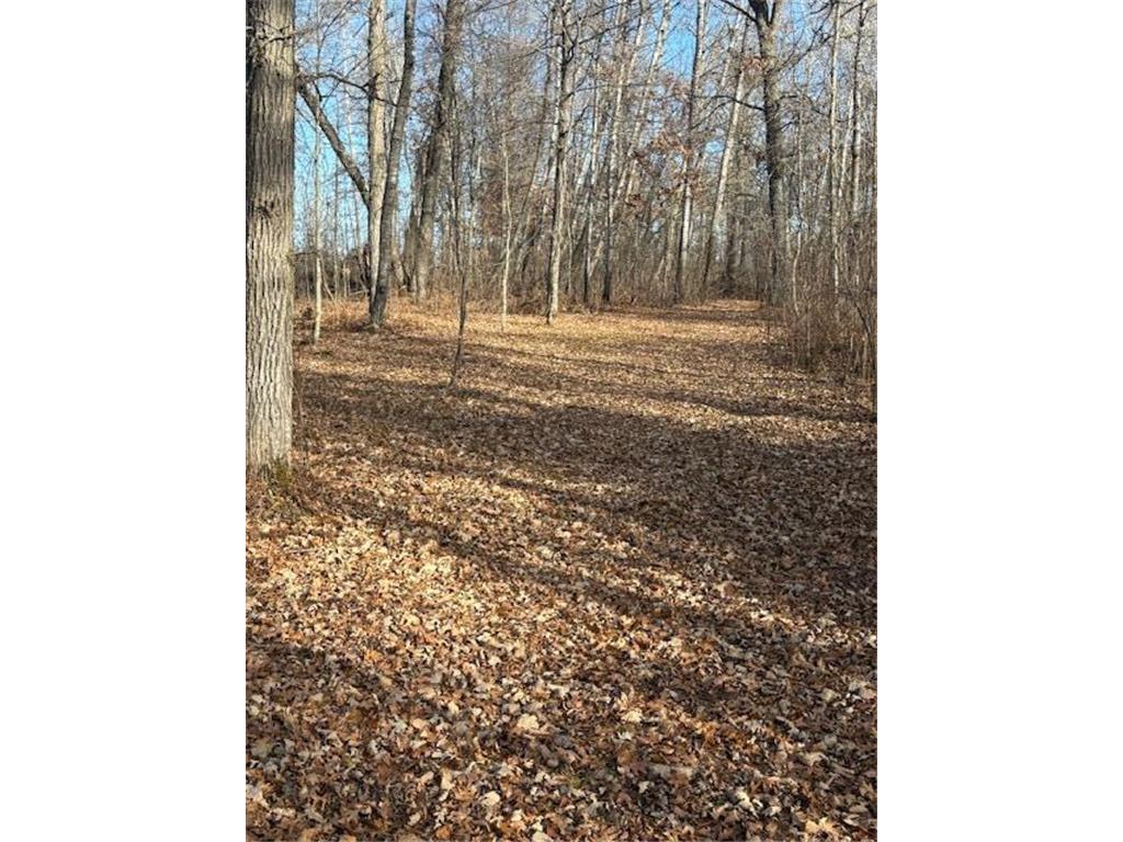TBD 226th Workman Twp MN 56431 - Flowage 7083838 image23