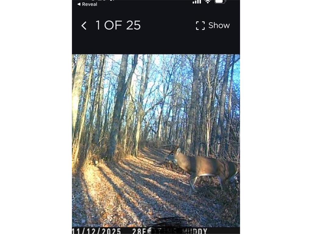 TBD 226th Workman Twp MN 56431 - Flowage 7083838 image24