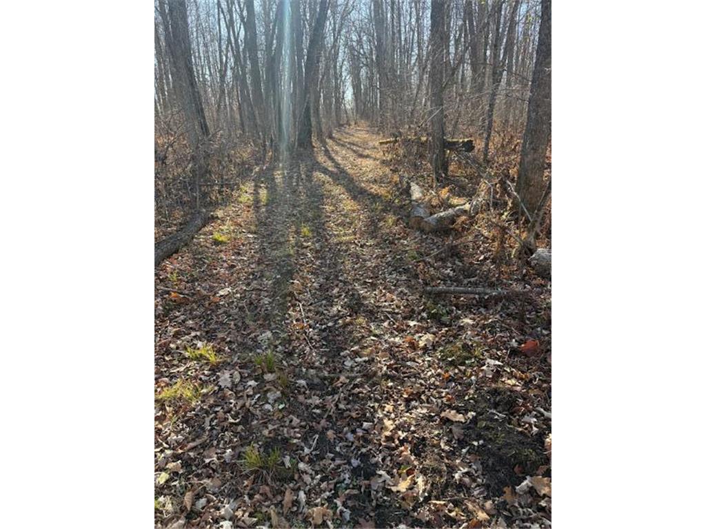 TBD 226th Workman Twp MN 56431 - Flowage 7083838 image27