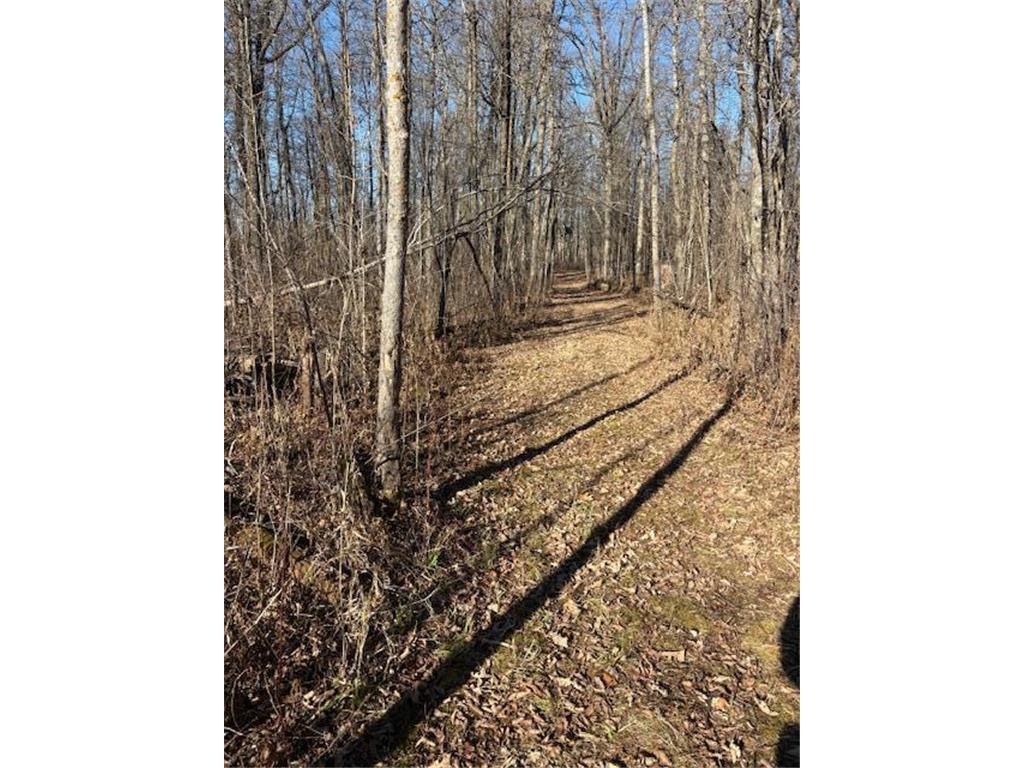 TBD 226th Workman Twp MN 56431 - Flowage 7083838 image28