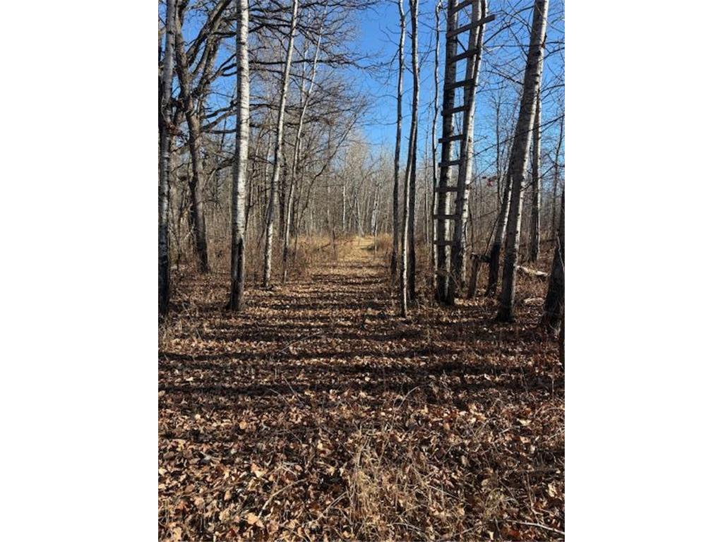 TBD 226th Workman Twp MN 56431 - Flowage 7083838 image29