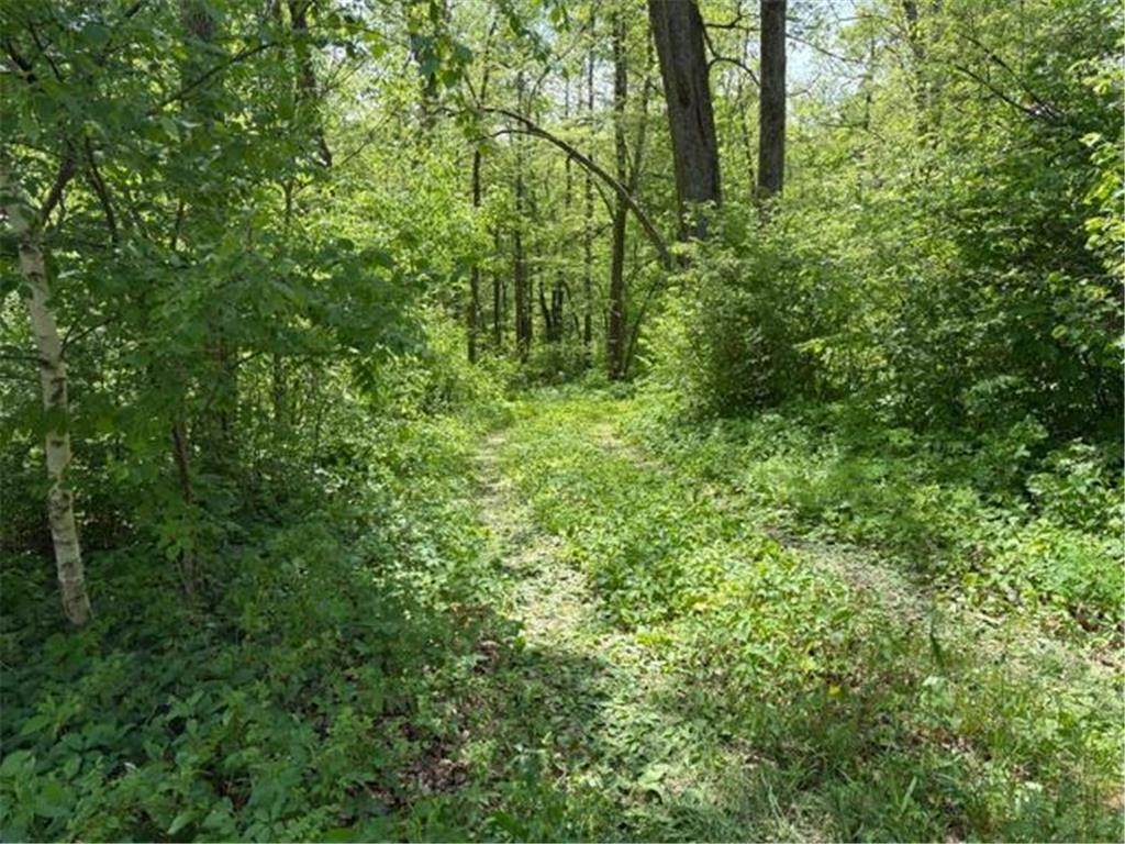 TBD 226th Workman Twp MN 56431 - Flowage 7083838 image4