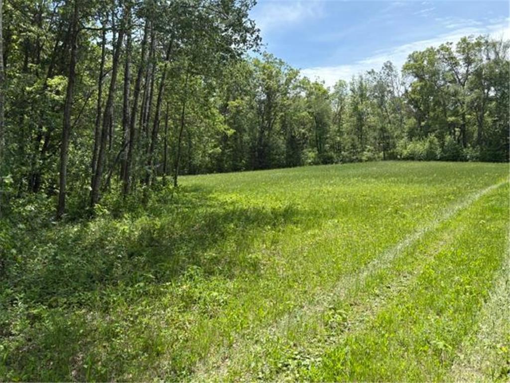 TBD 226th Workman Twp MN 56431 - Flowage 7083838 image5