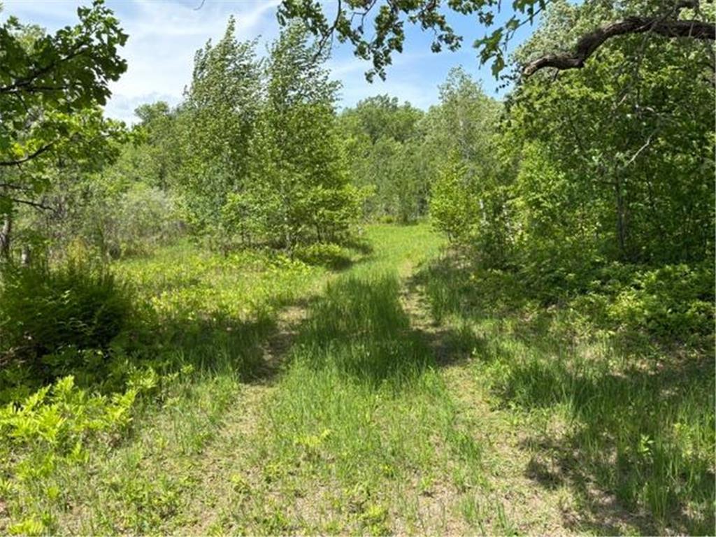 TBD 226th Workman Twp MN 56431 - Flowage 7083838 image8