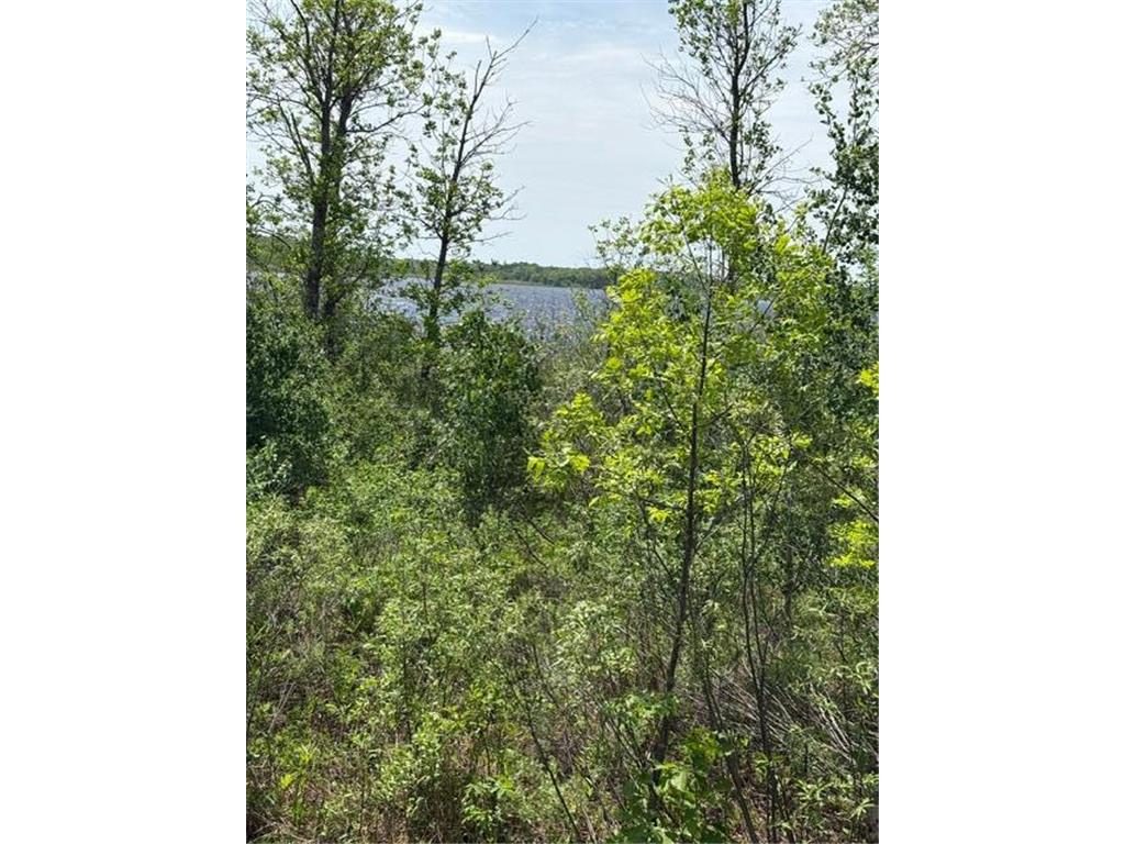 TBD 226th Workman Twp MN 56431 - Flowage 7083838 image9