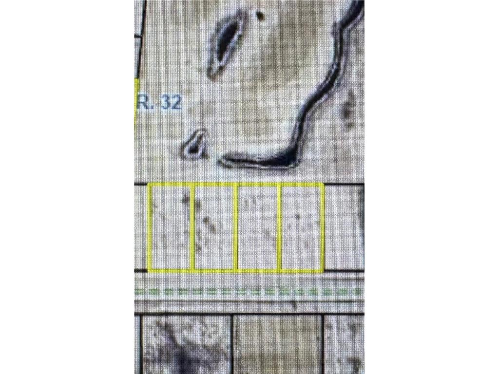 TBD 22nd St NW Baudette MN 56623 6791501 image8