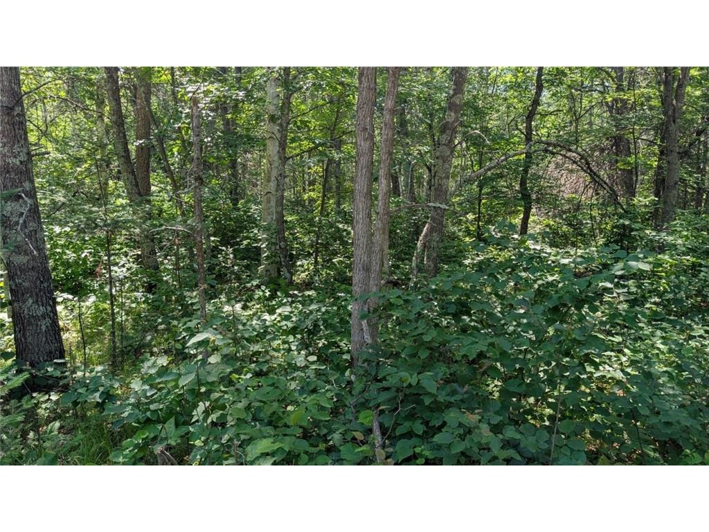 TBD 22nd Street SW Pine River Twp MN 56474 6748563 image2