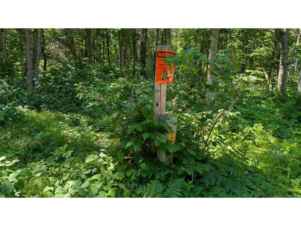 TBD 22nd Street SW Pine River Twp MN 56474 6748563 image3