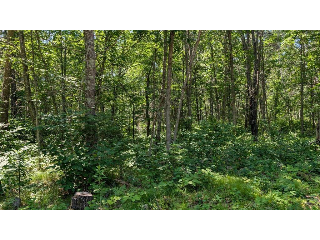 TBD 22nd Street SW Pine River Twp MN 56474 6748563 image4