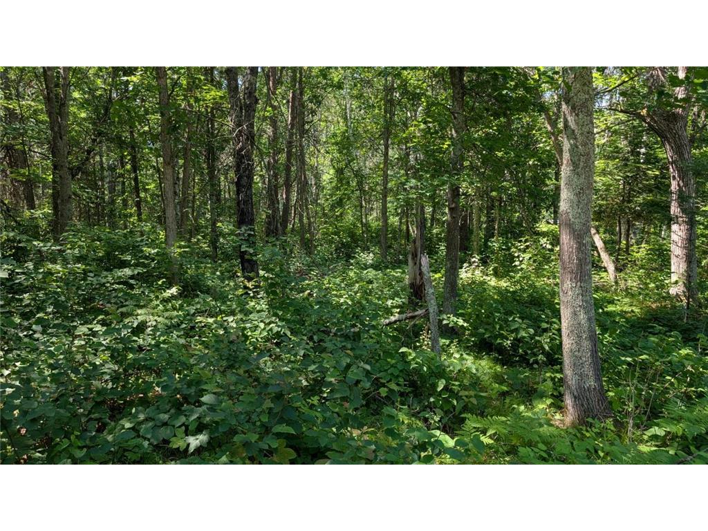 TBD 22nd Street SW Pine River Twp MN 56474 6748563 image5