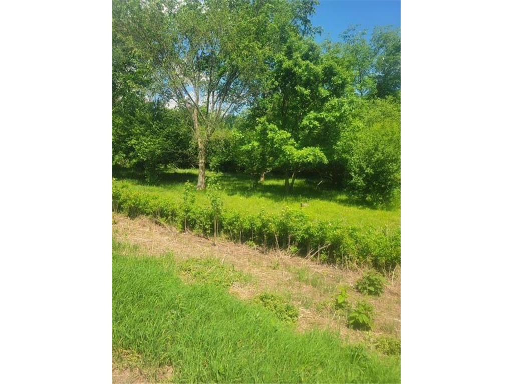 TBD 230th Baldwin WI 54002 7093361 image15