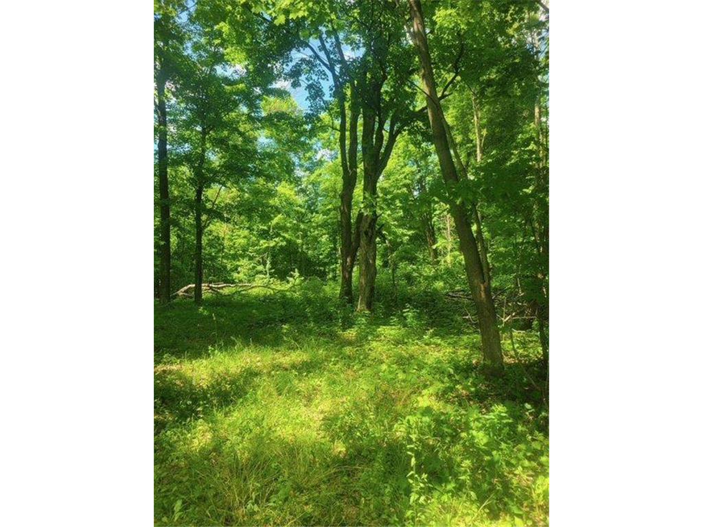 TBD 230th Baldwin WI 54002 7093361 image23