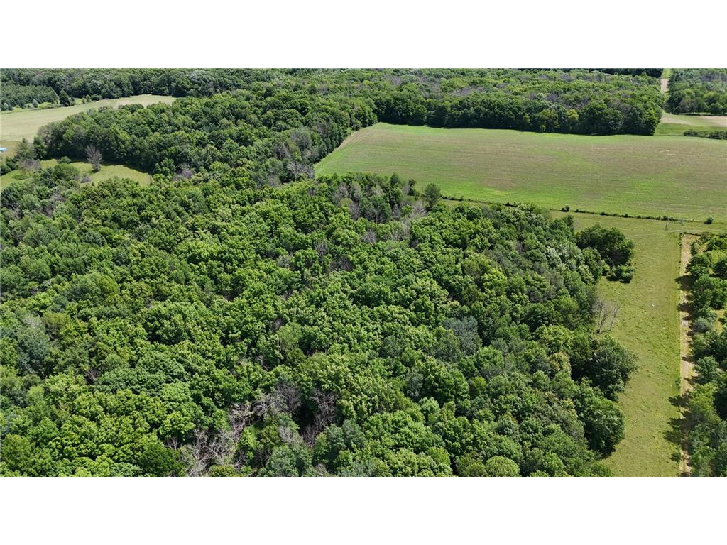 TBD 230th Baldwin WI 54002 7093361 image31