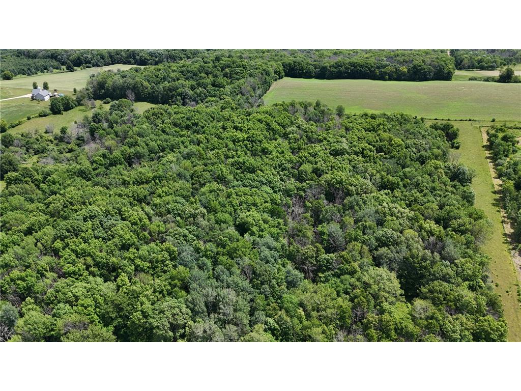 TBD 230th Baldwin WI 54002 7093361 image34